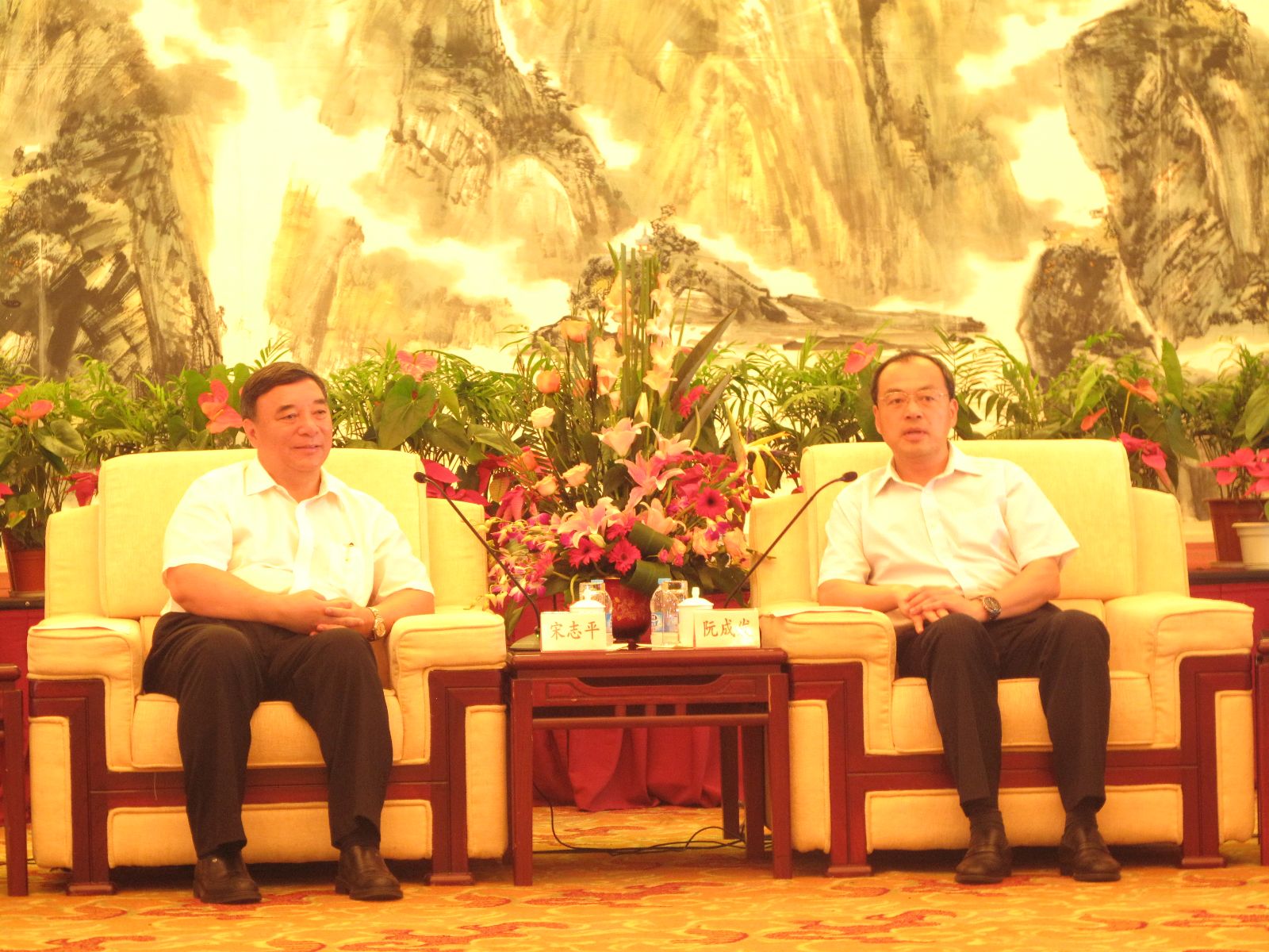 武汉市委书记阮成发与宋志平董事长举行会晤 888电子(中国游)有限公司官网