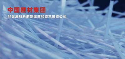集团业务片中文版