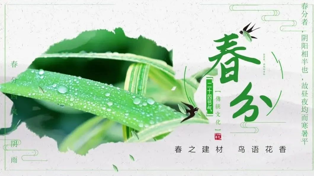 今日春分 | 春之建材，鸟语花香